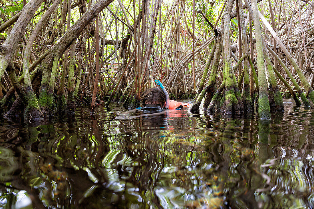 Foto von Mann Schnorcheln in Cenote Chikin Ha, Playa del Carmen, Riviera Maya, Halbinsel Yucatan, Mexiko