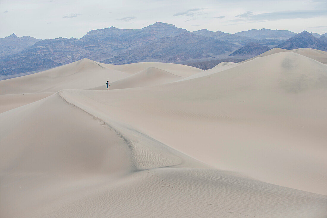 Mesquite flache Sanddünen im Death Valley National Park, Kalifornien, USA