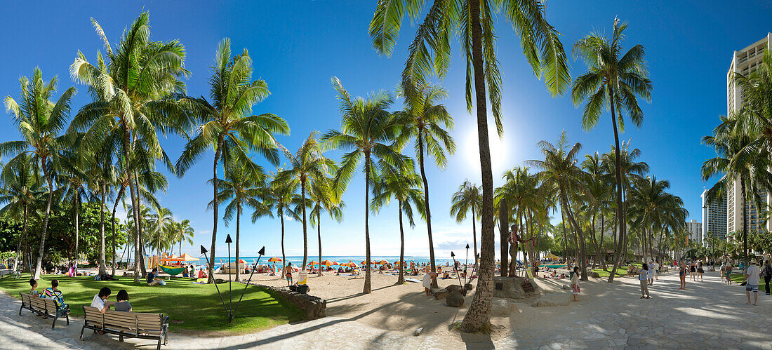 Panoramablick auf Palmen am Waikiki Beach in Honolulu