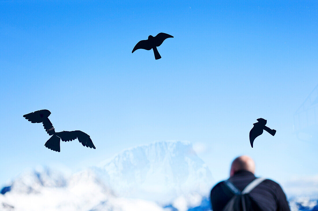 Bird stickers on window and man and mountains in background