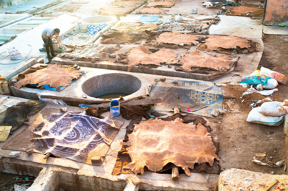 Tierfelle trocknen an den Leder-Gerbereien in Bab Debbagh in der Medina