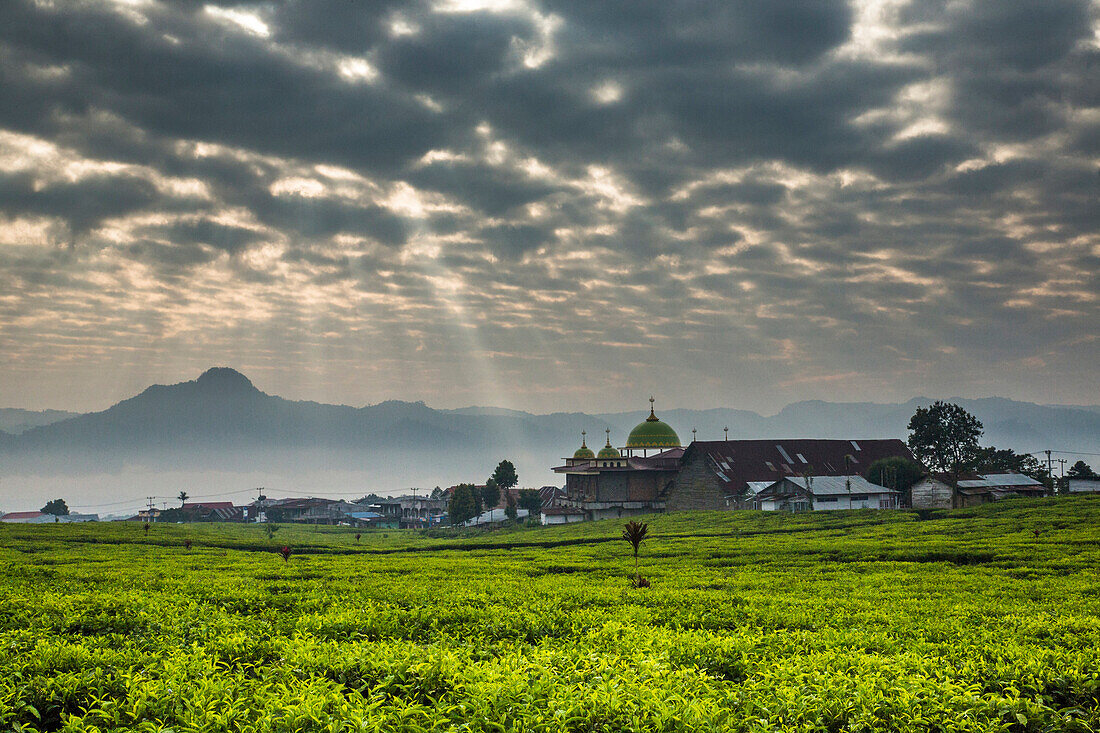 Sonnenlicht strömt durch pocked Wolken über einem ausgedehnten Teefeld mit einer kleinen Stadt und Moschee und Bergen am Horizont. Kerinci Valley, Sumatra, Indonesien