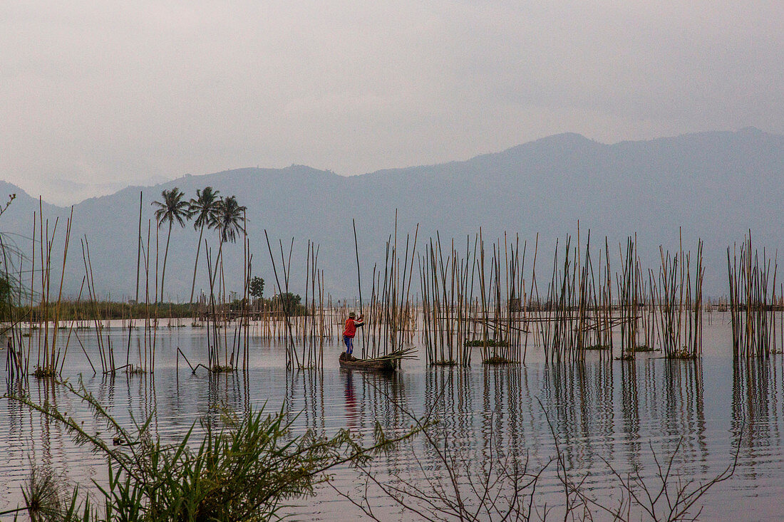 Ein Fischer steht auf einem schmalen Boot zwischen dünnen Stangen in einem rauchigen See mit Bergen im Hintergrund. Kerinci Valley, Sumatra, Indonesien