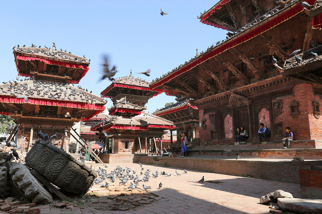 Tauben auf dem Durbar Square von Kathmandu