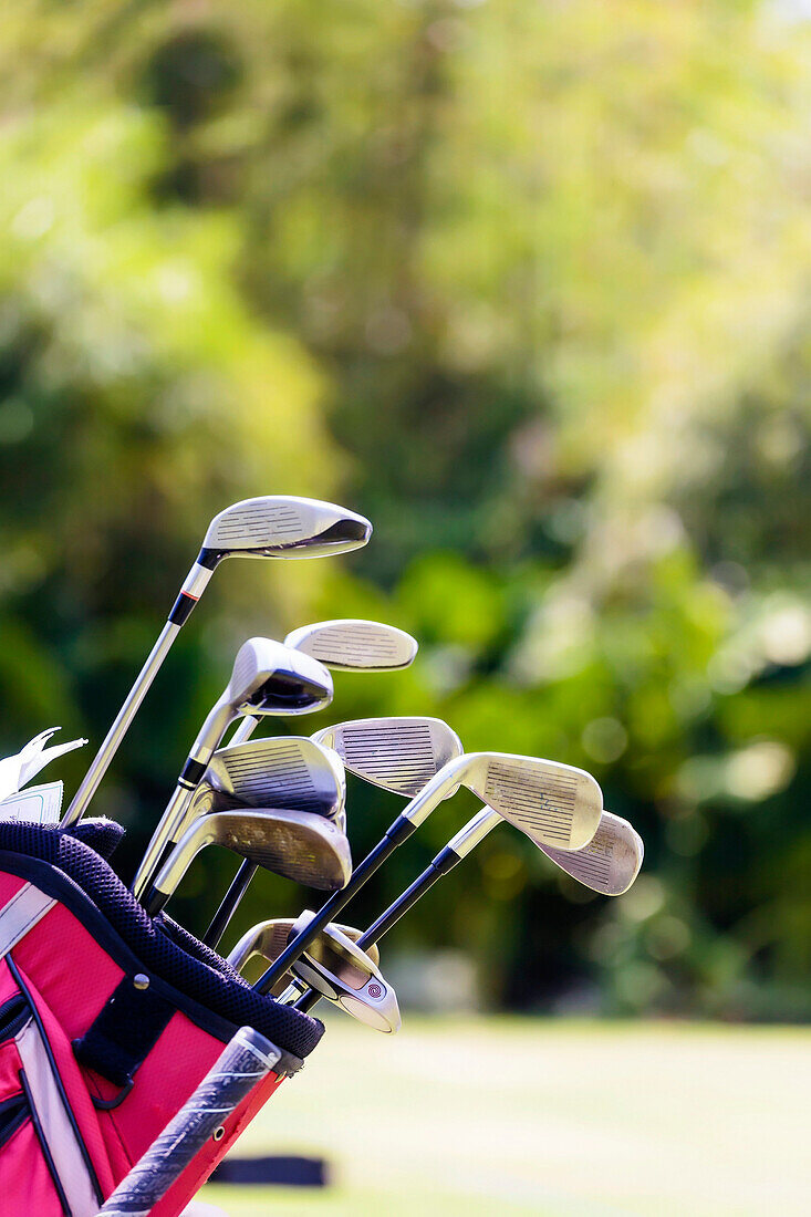 Golf clubs in golf bag, Bali, Indonesia