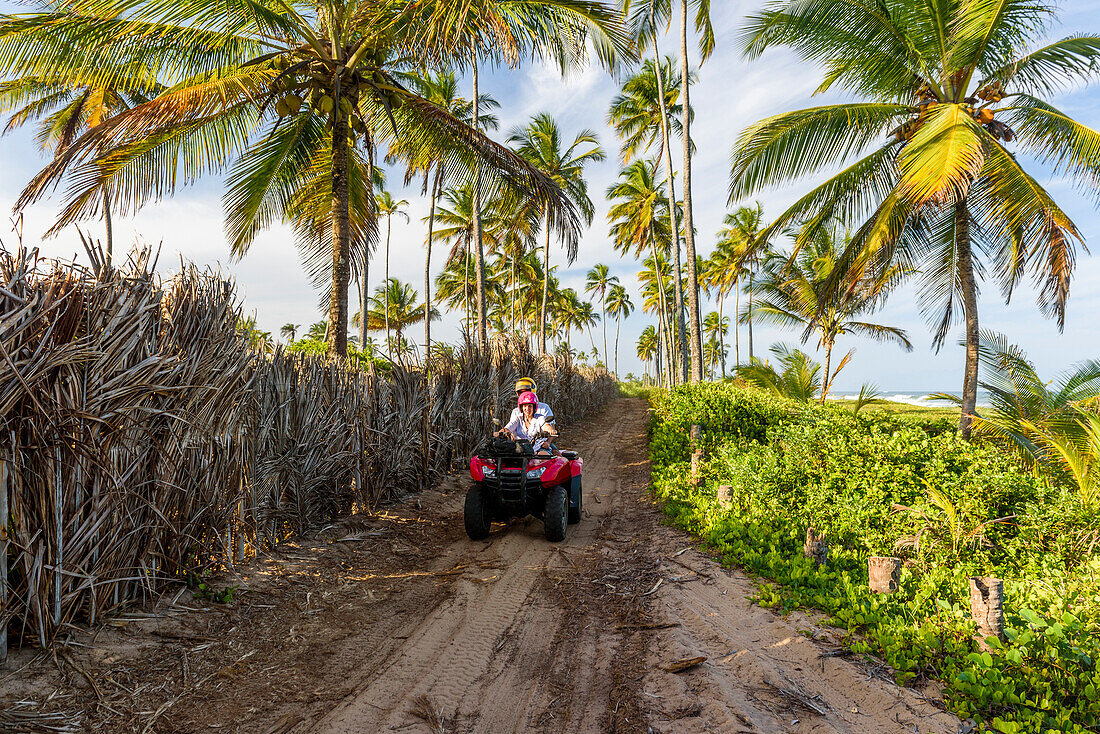 Couple riding four-wheeler on dirt road in tropical scenery with palm trees, Taipu de Fora beach, South Bahia, near Barra Grande, Brazil