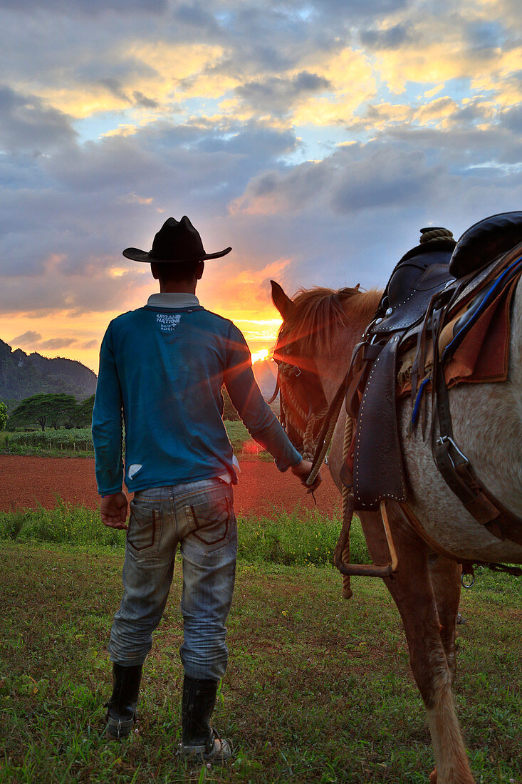 Vinales Pferde und Campasino bei Sonnenuntergang