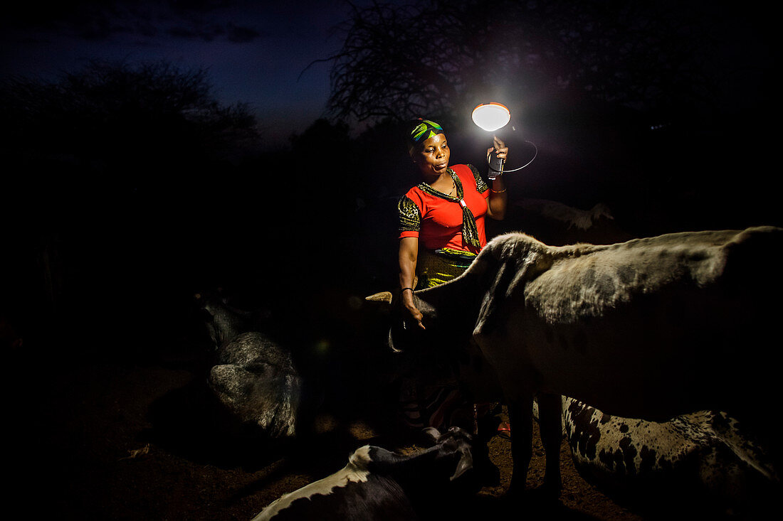'Mforo, Tansania ein Dorf in der Nähe von Moshi, Tansania. Die Solar Schwester Unternehmerin Fatma Mziray prüft am Abend ihre Kühe. Bevor sie die tragbare Solarlaterne hatte, standen sie und ihr Ehemann die ganze Nacht auf, um die Kühe zu untersuchen, den
