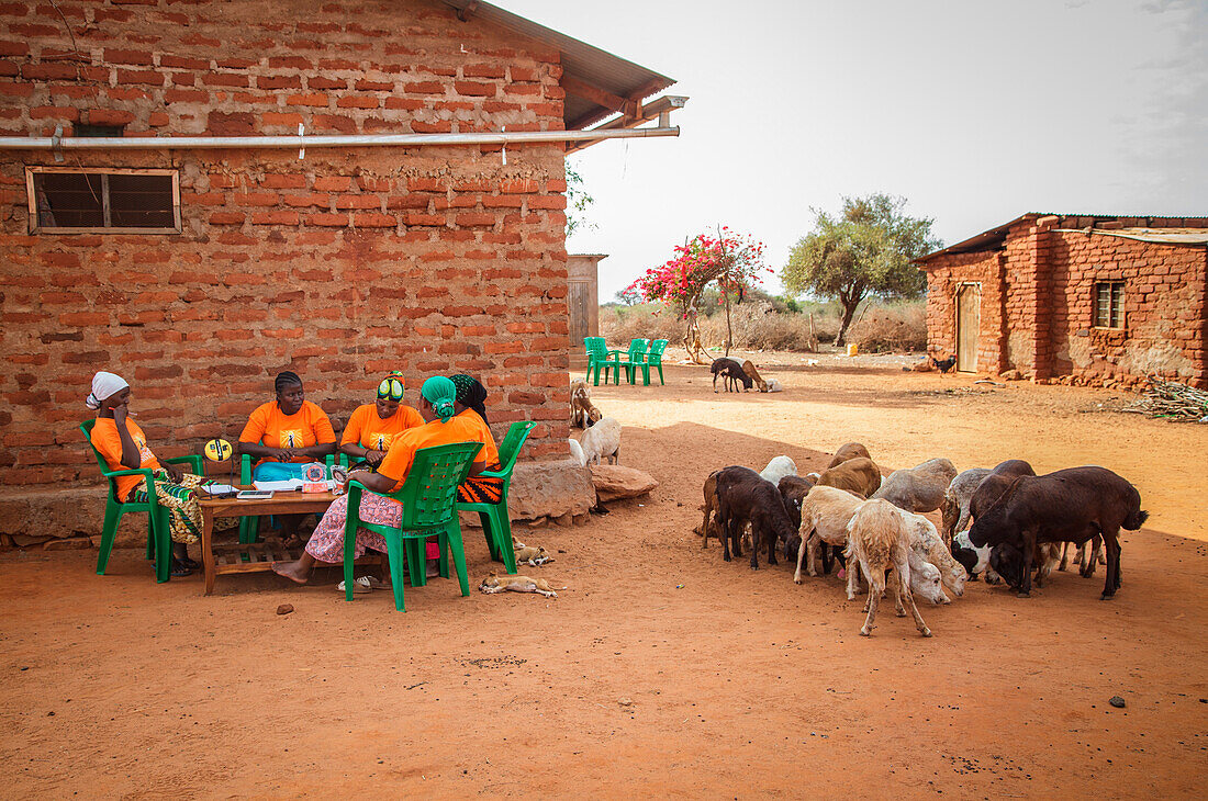 'Mforo, Tansania ein Dorf in der Nähe von Moshi, Tansania. Die Unternehmer der Solar Sister treffen sich in Fatma Mzirays Haus, um über Geschäfte zu gehen und Ideen auszutauschen. Sie genießen es, zusammen zu sein, und sie fühlen sich alle so, als ob sie 
