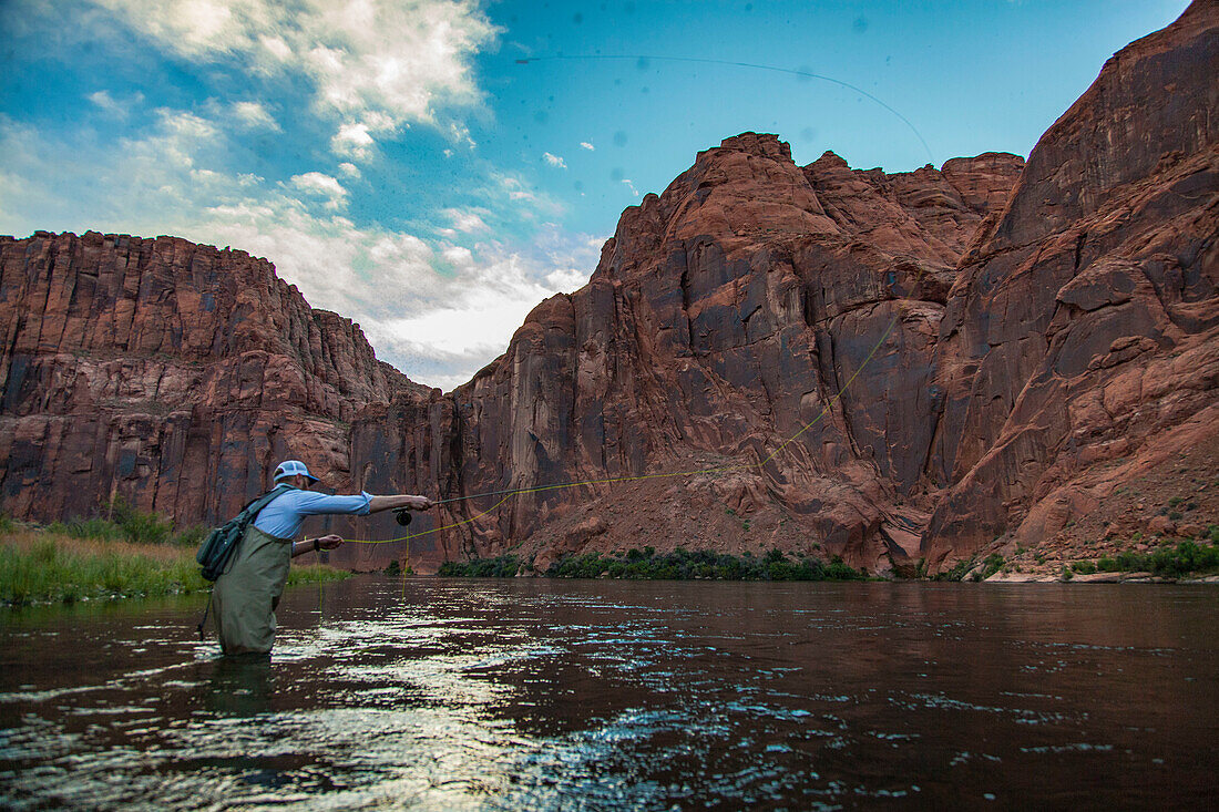 Mann Fliegenfischen auf dem Colorado River