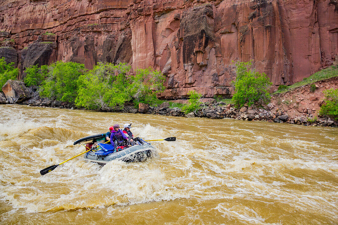 Rafters Rafting On Yampa And Green Rivers Through Dinosaur National Monument