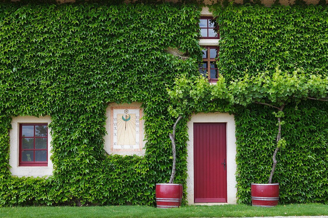 Château Smith Haut Lafitte, Graves AOC, Bordeaux, Aquitanien, Frankreich