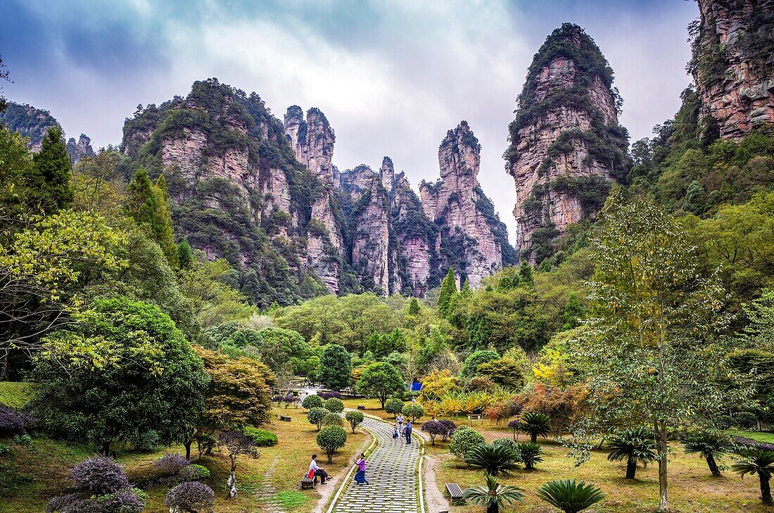 China, Hunan Province, Zhangjiajie City, Zhangjiajie Scenic Park, Wulingyuan.