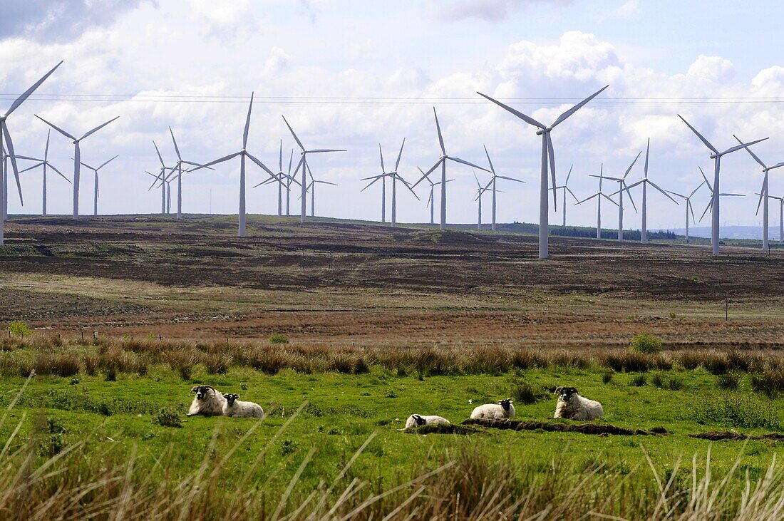 Windmills near Peebles, South- Scotland