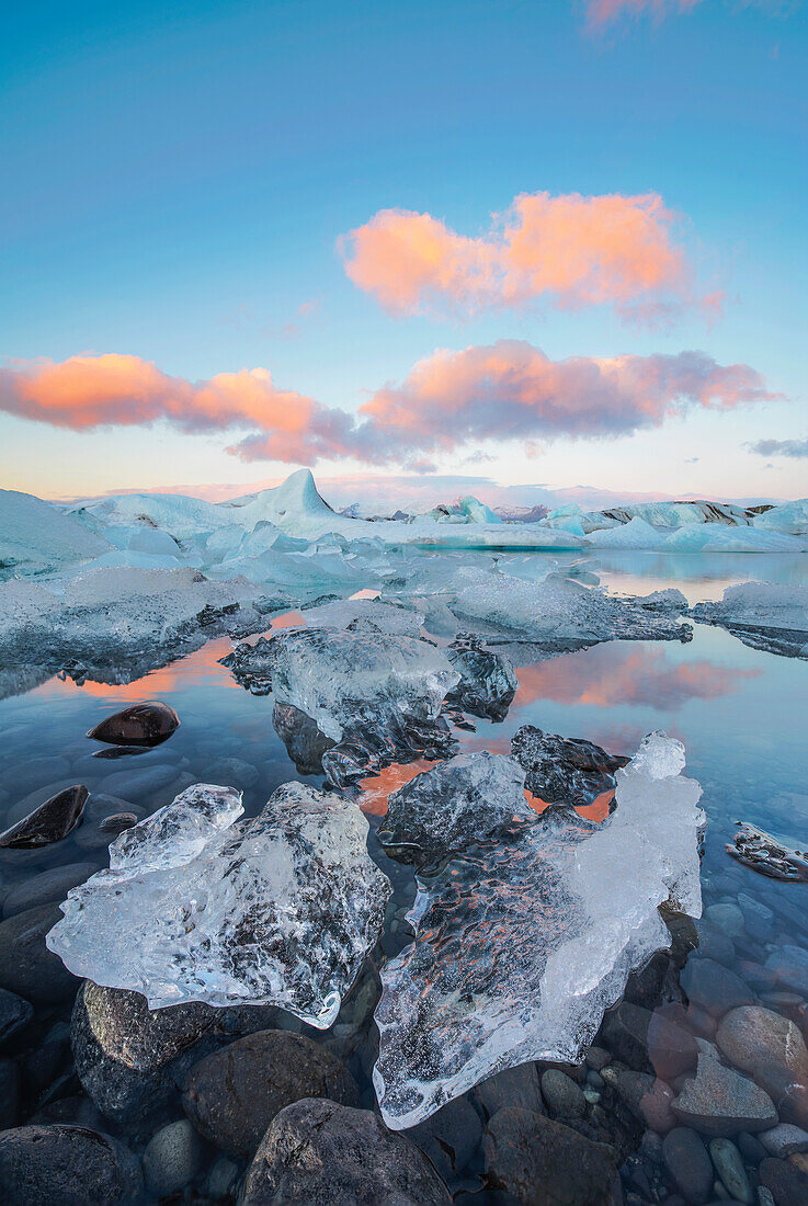 Jokulsarlon, Eastern Iceland, Iceland, Northern Europe, The iconic little icebergs lined in the glacier lagoon during a sunrise