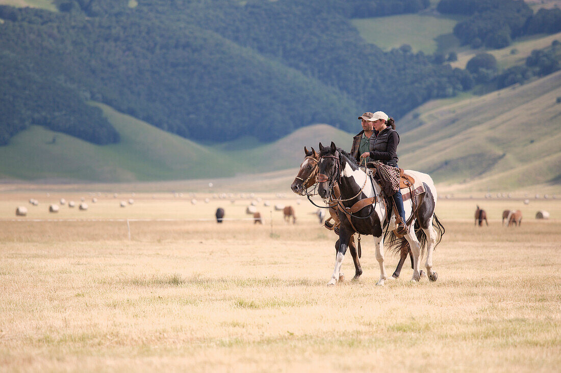 Europa, Italien, Umbrien, Perugia, Castelluccio di Norcia Sibillini Ranch