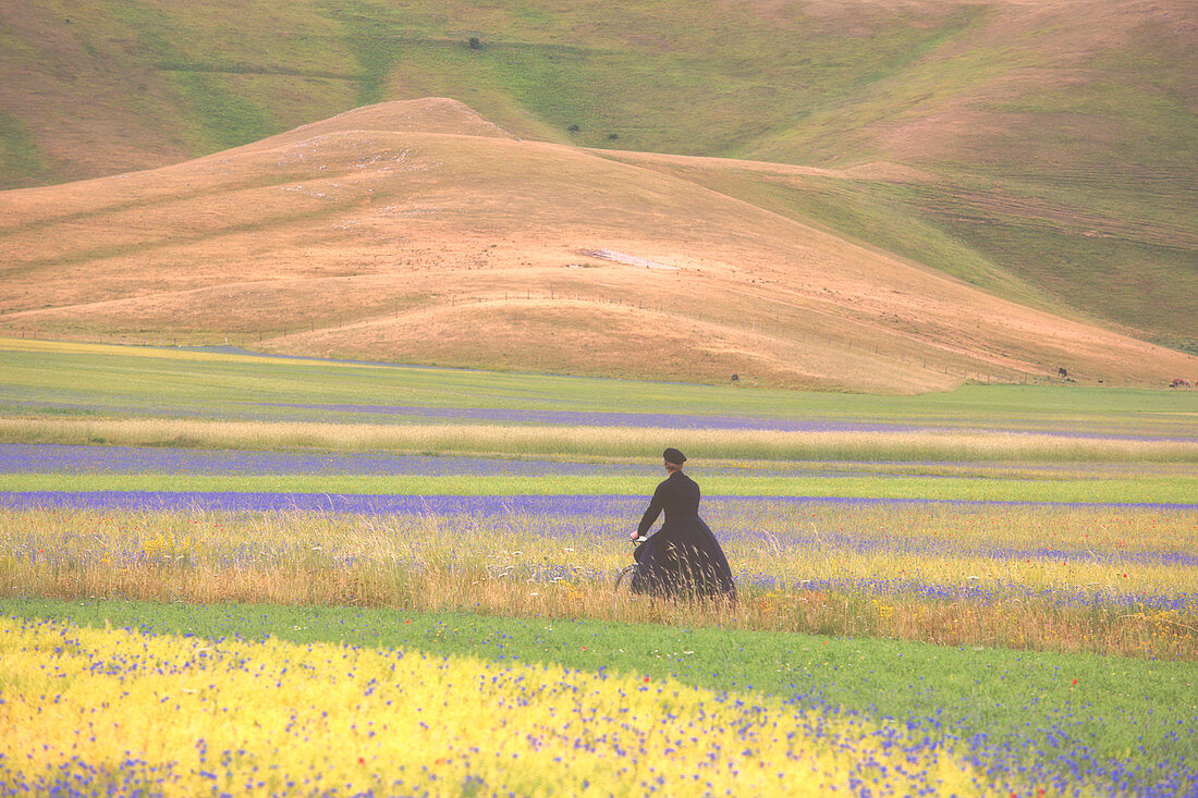 Europa, Italien, Umbrien, Perugia, Sibillini-Nationalpark, Blüte der Linsenfelder von Castelluccio von Norcia