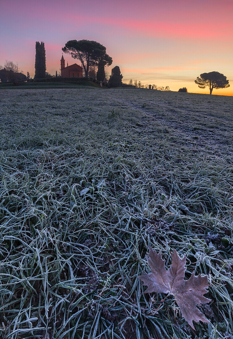 Pomelasca, Lurago D'Erba, Como province, Brianza, Lombardy, Italy, Europe