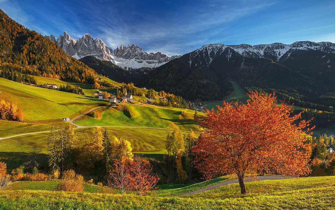 Herbst im Dorf Santa Magdalena, Funes Tal, Odle Dolomiten, Südtirol Region, Trentino Alto Adige, Provinz Bozen, Italien, Europa