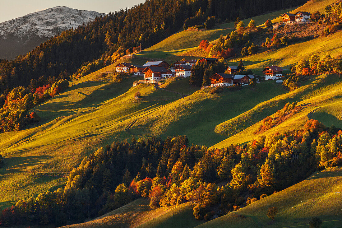 Herbst Hügel von Santa Magdalena, Funes Tal, Region Südtirol, Trentino Alto Adige, Provinz Bozen, Italien, Europa