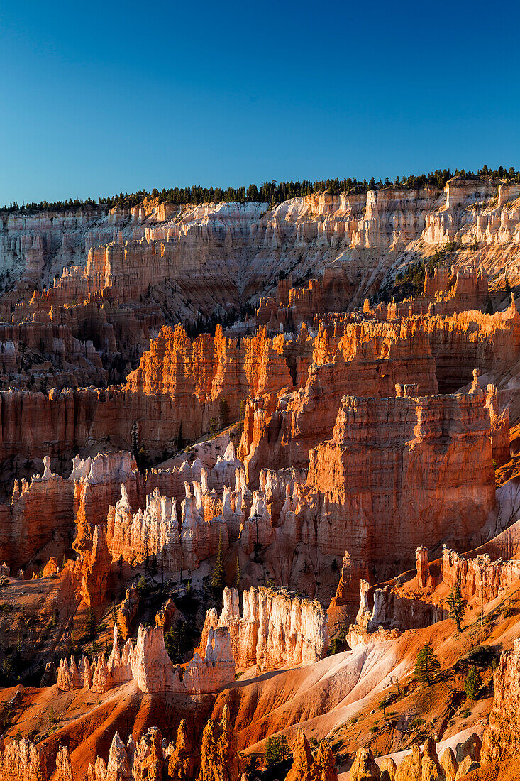 Sonnenaufgang am Bryce Canyon, Utah, USA