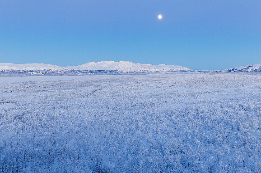 Der Mond steigt über Lappland Wald, Abisko, Abisko Nationalpark, Norbottens Ian, Schweden, Europa