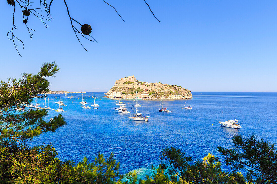 Window between the Mediterranean scrub with tourist boats moored in front of San Nicola Island, Tremiti Islands, Apulia, Italy