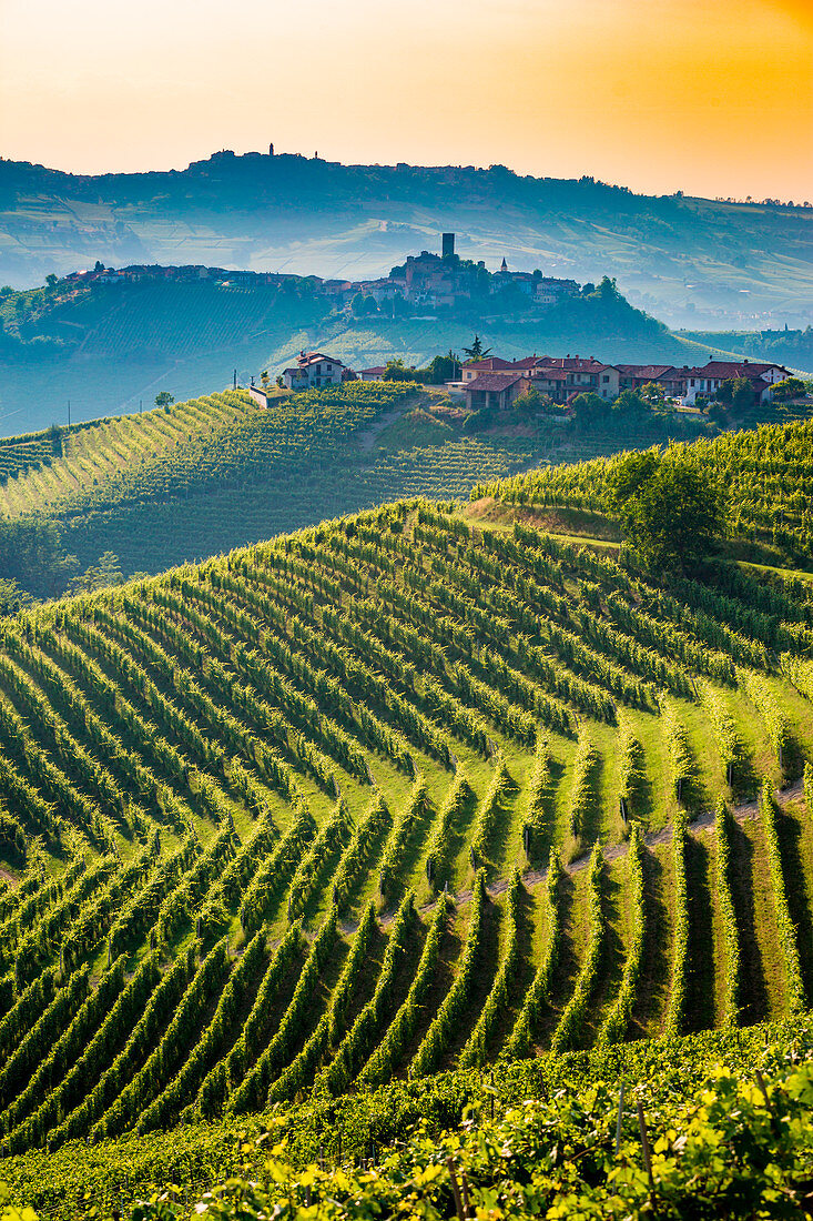 Weinregion Barolo, Langhe, Piemont, Italien