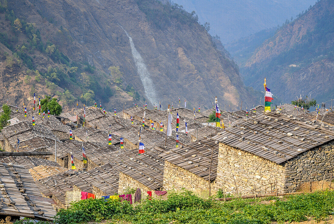 Jedes Dach eine Flagge, Gatlang Dorf, Rasuwa Bezirk, Bagmati Region, Nepal, Asien
