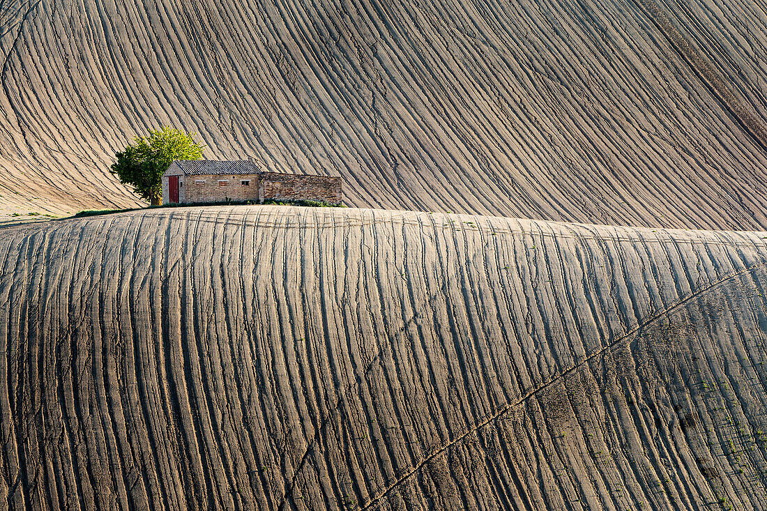 Typical rural landscape of the Marches region, italy