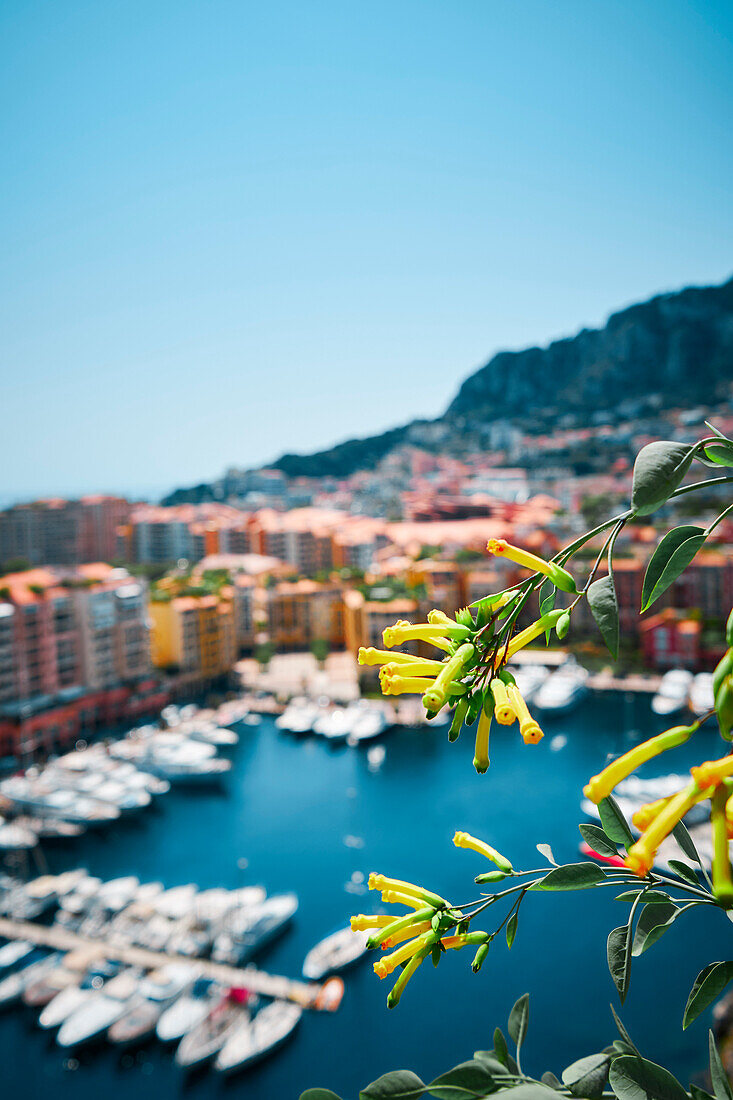 Täglich Blick auf Fontvieille und Monaco Hafen, Monaco, Fürstentum Monaco, Côte d'Azur, Südfrankreich, Westeuropa, Europa