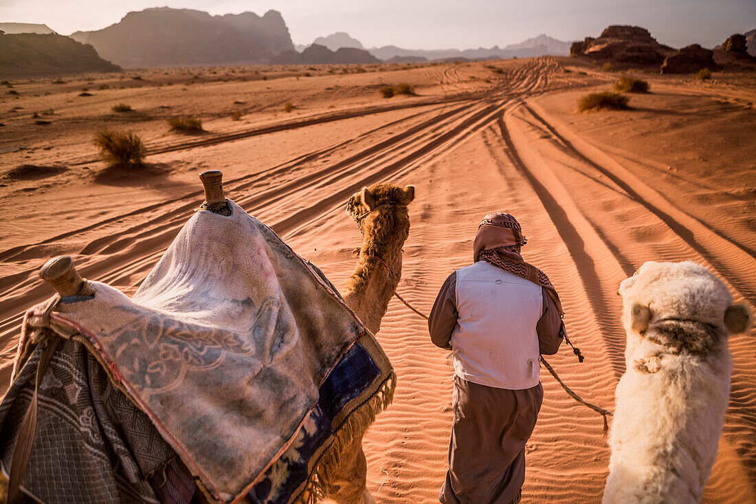 Berber mit seinen Kamelen in Wadi Rum Wüste