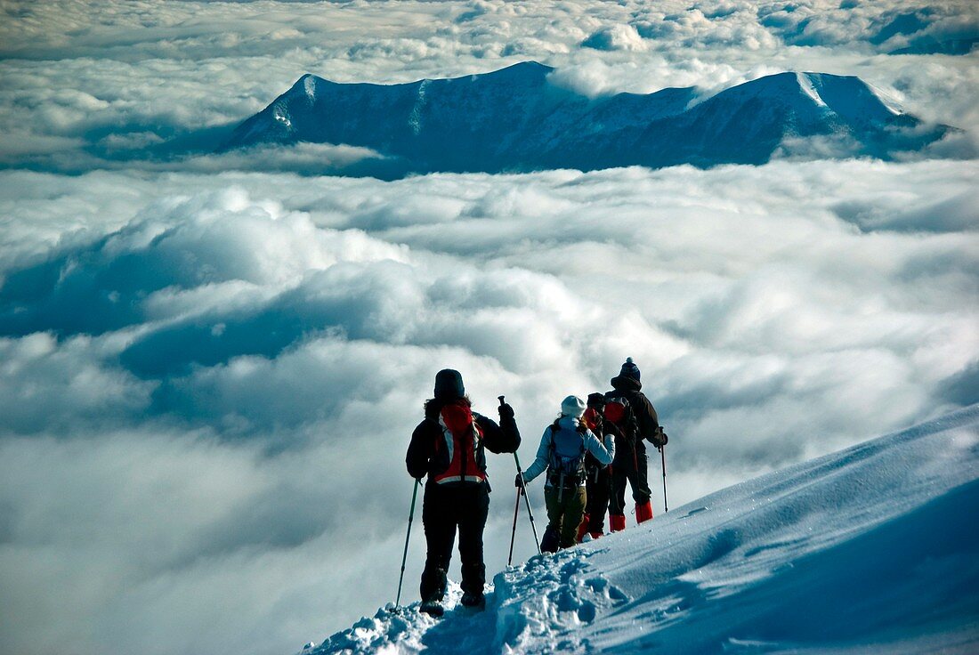 Gruppe von Wanderern mit Schneeschuhen von Cima Pianchette zu den Wolken, die das Tal unten, Lombardei, Italien