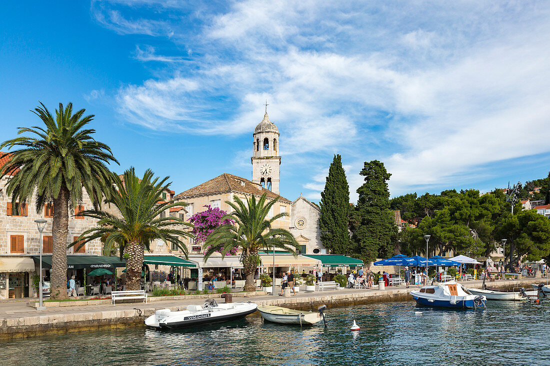 Cavtat Dorf und Hafen (Konavle, Dubrovnik, Dubrovnik-Neretva, Dalmatien, Kroatien, Europa)