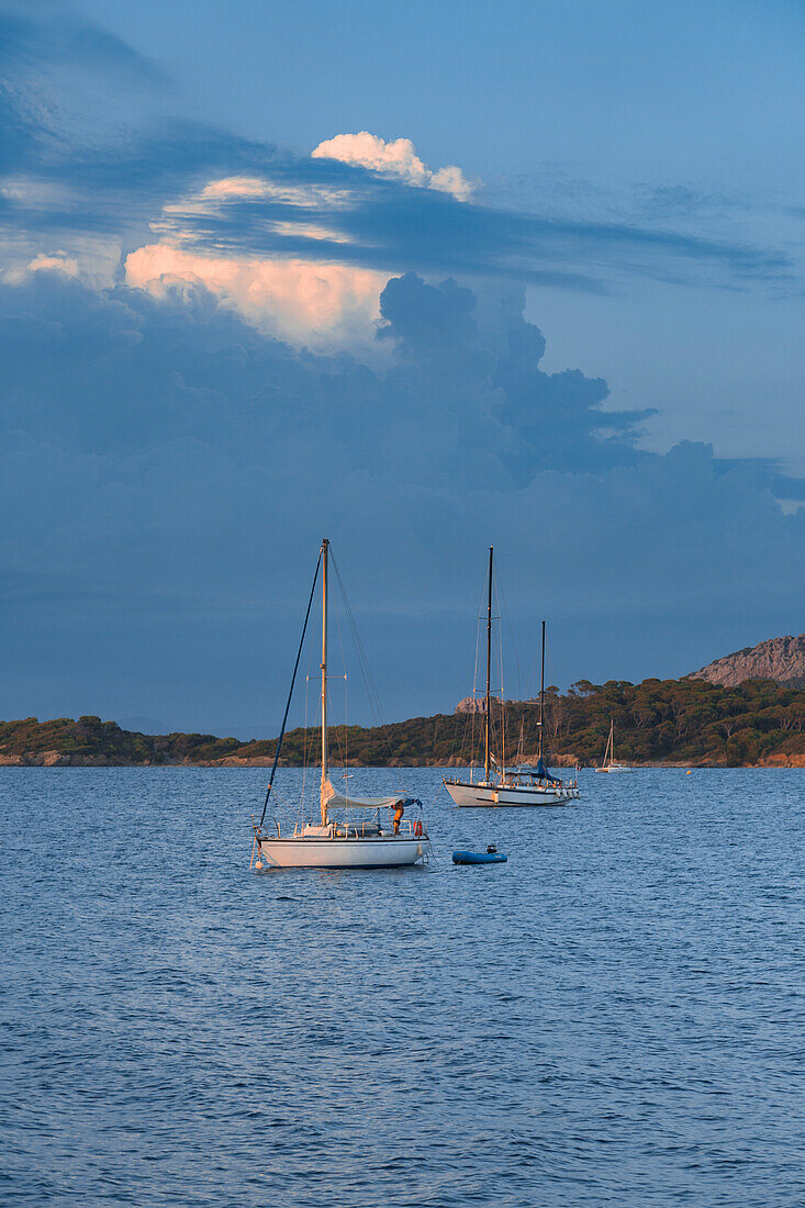 Mooring sailboats during the sunset (Ile de Porquerolles, Hyeres, Toulon, Var department, Provence-Alpes-Cote d'Azur region, France, Europe)