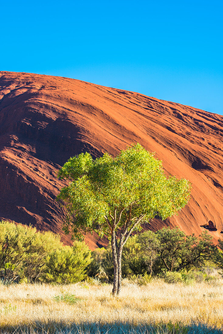 Uluru (Ayers Rock), Uluru-Kata Tjuta National Park, Northern Territory, Central Australia, Australia