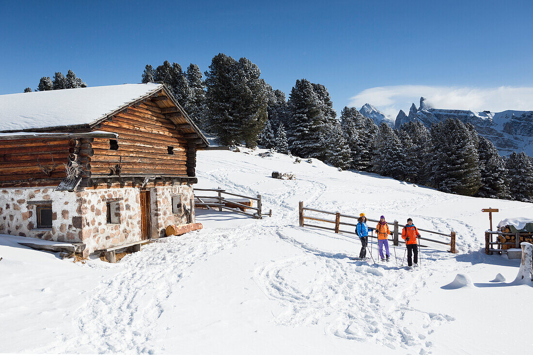 eine Gruppe von Wanderern während eines Schneeschuhwanderns in Gröden, Provinz Bozen, Südtirol, Trentino-Südtirol, Italien, Europa