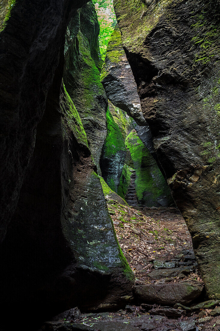 View of the rock gorge called Orrido di Uriezzo, Valle Antigorio, Verbano Cusio Ossola, Piedmont, Italy