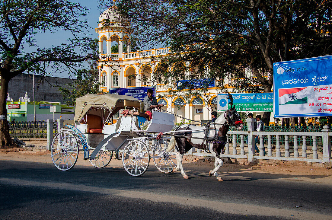 Mysore, Karnataka, India, A horse cart looking for tourists in the streets of Mysore
