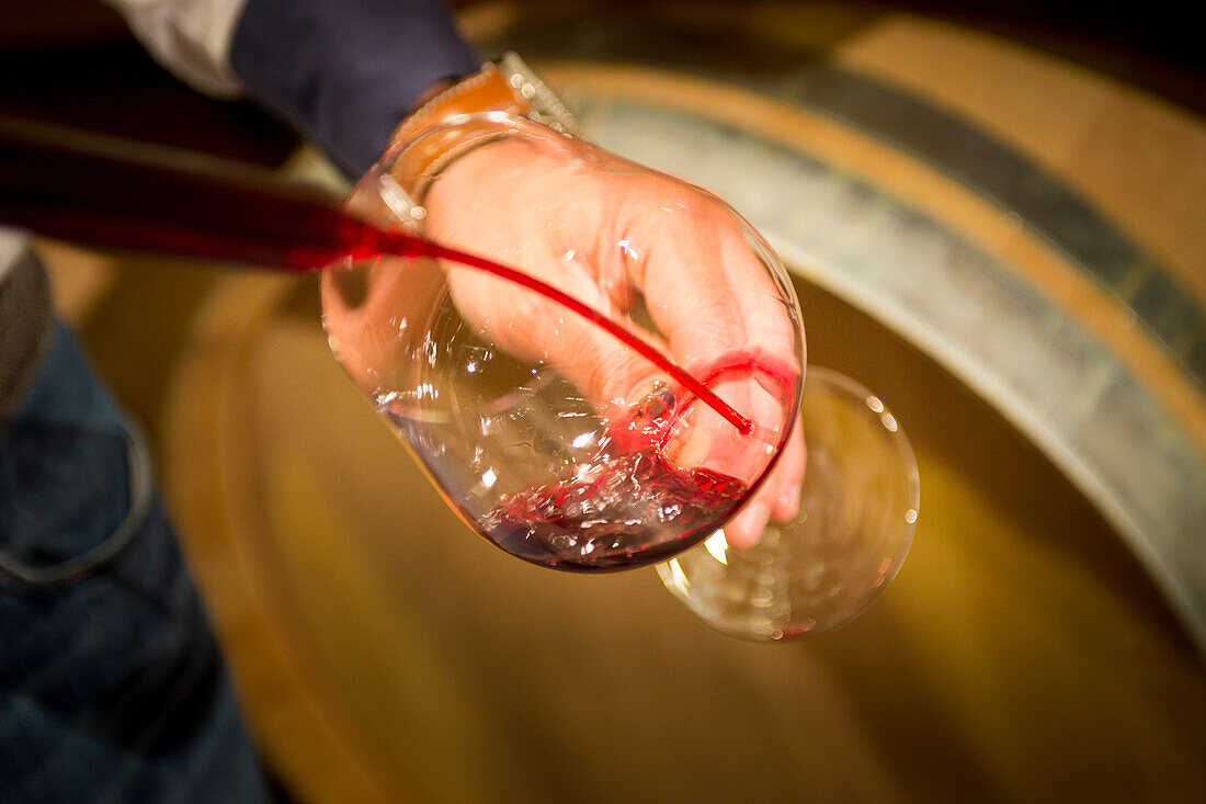 eine Nahaufnahme der Wein Qualitätskontrolle, Bozen Provinz, Südtirol, Trentino Alto Adige, Italien