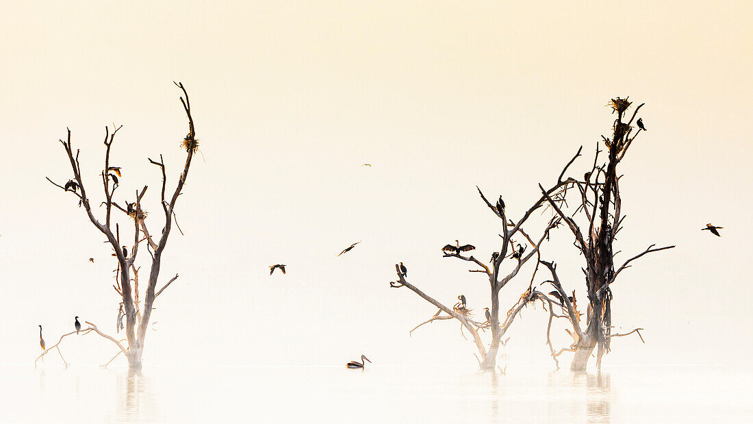 Lake Nakuru, Rift Valley, Kenia