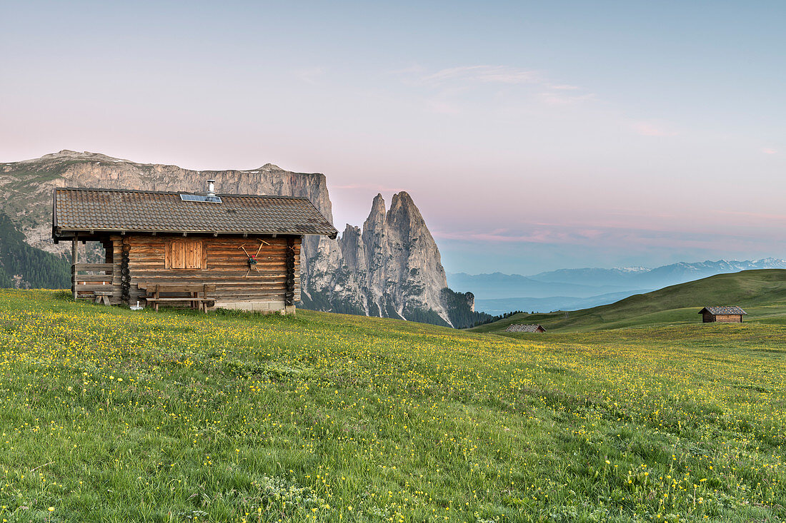 Seiser Alm, Dolomiten, Südtirol, Italien, Der Morgen auf der Seiser Alm, Im Hintergrund die Schlern von Schlern