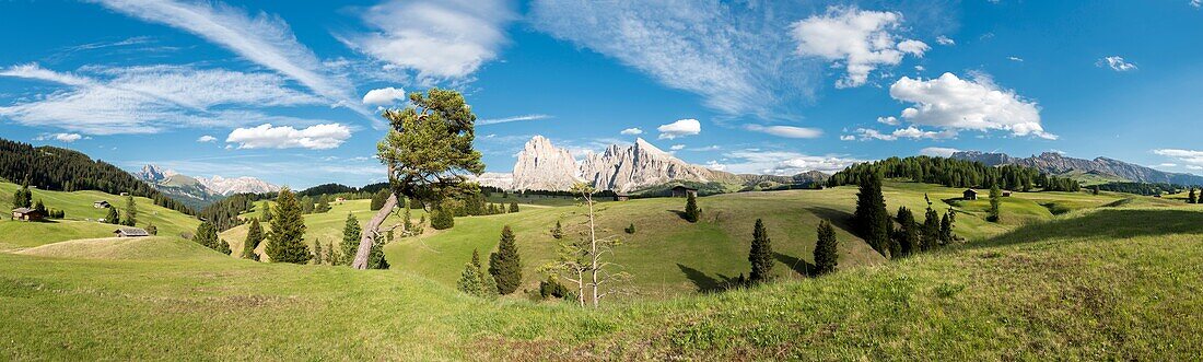 Alpe di Siusi/Seiser Alm, Dolomites, South Tyrol, Italy