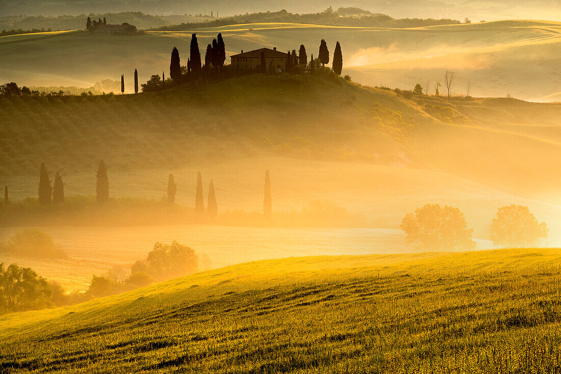 Belvedere Farmhouse at dawn, San Quirico d'Orcia, Orcia Valley, Siena province, Italy, Europe