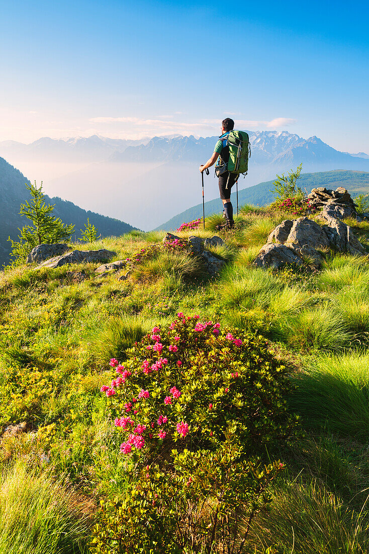 Trekking in Stelvio National park, Seroti lakes, Lombardy district, Brescia province, Italy, Europe