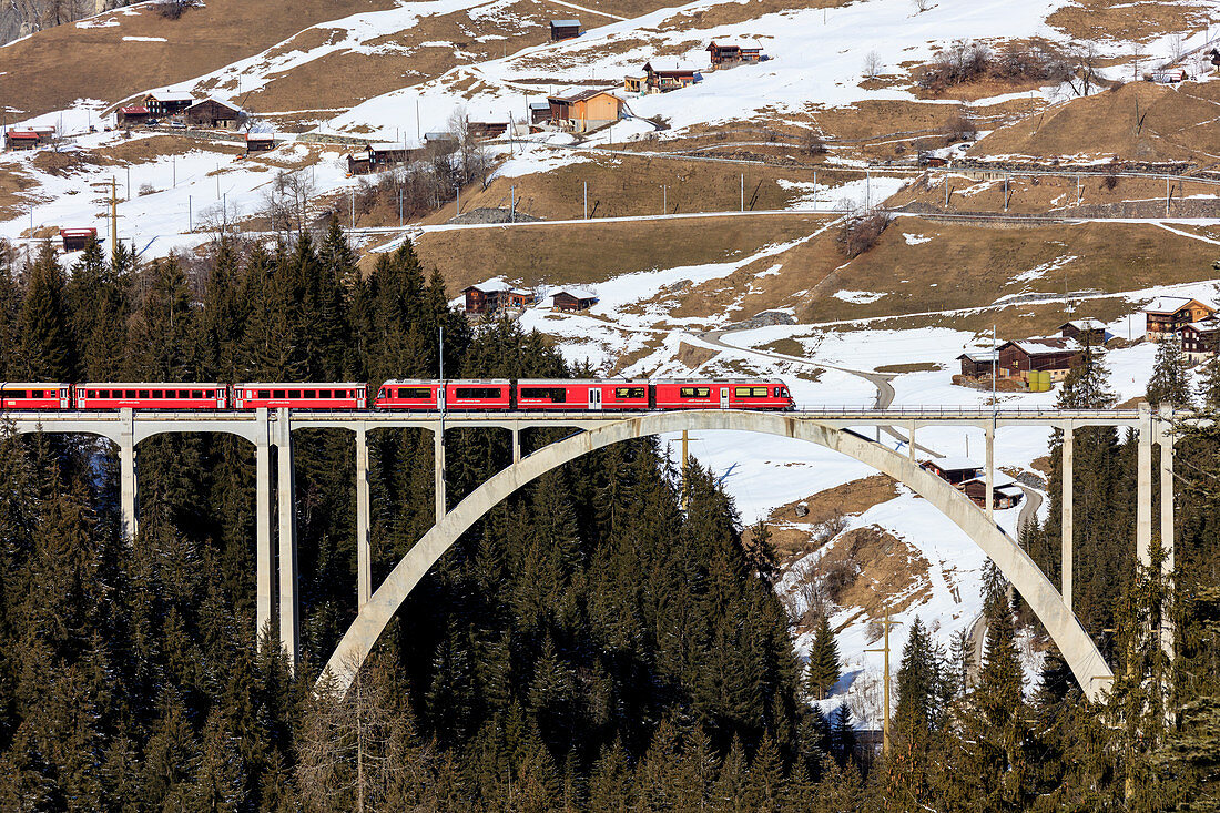 Roter Zug der Rhätischen Bahn am Langwies-Viadukt, umgeben von Wäldern Kanton Graubünden Schweiz Europa