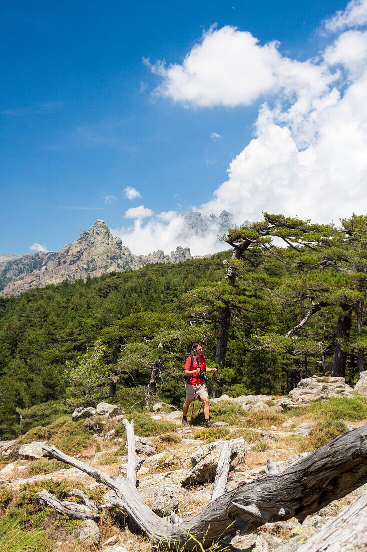 Wanderer in grünen Wäldern umgeben von felsigen Gipfeln Col de Bavella (Pass von Bavella) Solenzara Südkorsika Frankreich Europa