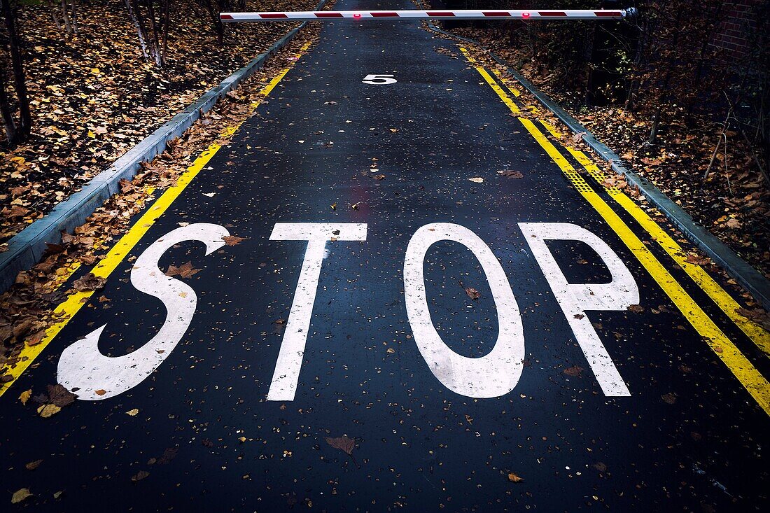Stoppen Sie das Zeichen, das auf Pflasterung und geschlossene Sperre in der Herbststraße gemalt wird, mit doppelten parkenden gelben Linien ohne Parken. Bankseite, London, England
