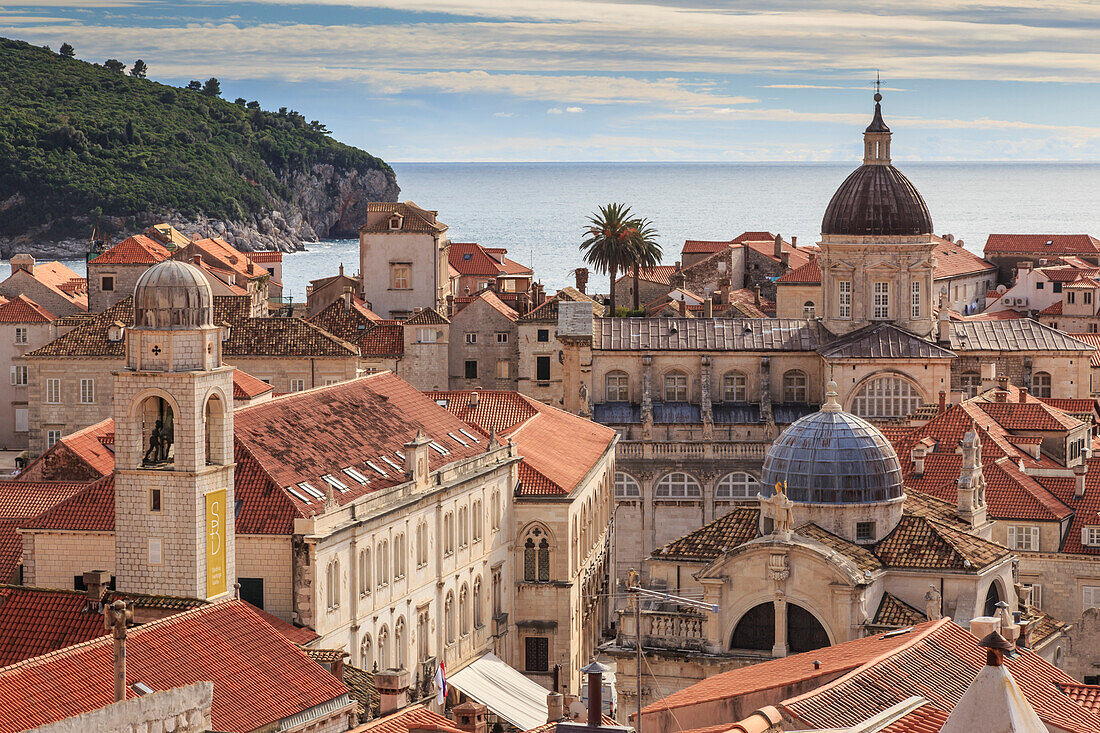 Historische Altstadt, Kathedrale, St. Blasius-Kirche, Uhrturm und Rektorenpalast, Dubrovnik, UNESCO-Weltkulturerbe, Kroatien, Europa