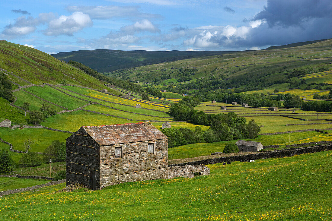 View over the Swaledale valley, near Thwaite, Yorkshire Dales National Park, Yorkshire, England, United Kingdom, Europe